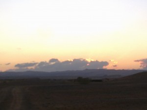 30102011319