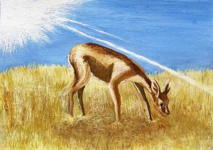 "עמק הצבאים" 2